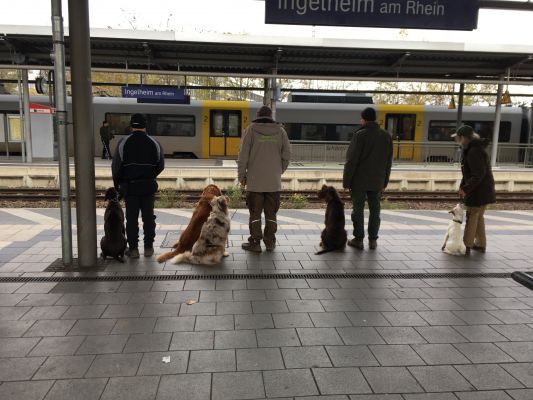 Klikni za sliku u punoj veliini